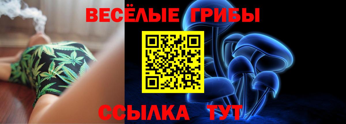 Галлюциногенные грибы MAGIC MUSHROOMS  Вход с VPN  где продают   Костомукша 